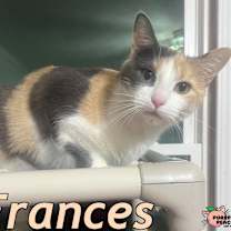 Thumbnail photo of Frances #2