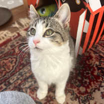 Thumbnail photo of Jaylin in Baltimore, MD #1