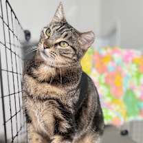 Thumbnail photo of Victoria #1