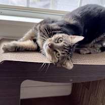 Thumbnail photo of Victoria #4