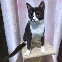 Thumbnail photo of Pepe #4