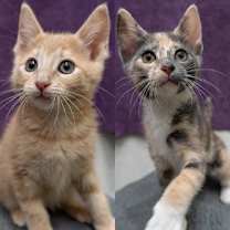 Thumbnail photo of Jerry James-Bonded --JellyJely #2