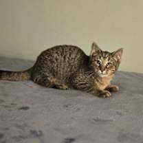 Thumbnail photo of Micah #2