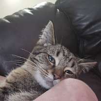 Thumbnail photo of Micah #3