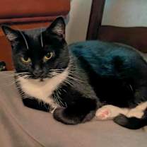 Thumbnail photo of Priscilla #1