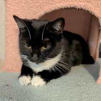 Thumbnail photo of Priscilla #2