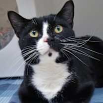 Thumbnail photo of Spunion #1