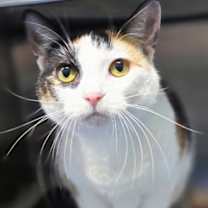 Thumbnail photo of Marisol #1