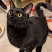 Thumbnail photo of Marlo #1