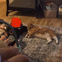 Thumbnail photo of Tank #2