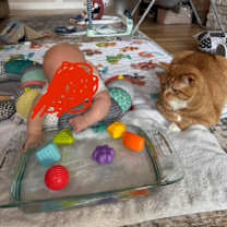 Thumbnail photo of Tank #3