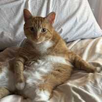 Thumbnail photo of Tank #4