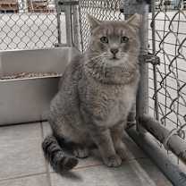 Thumbnail photo of Cider #1