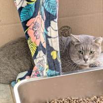 Thumbnail photo of Cider #2