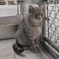 Thumbnail photo of Cider #3