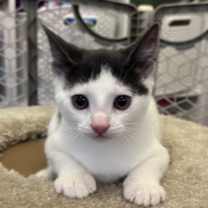 Thumbnail photo of Peak 2025 #1