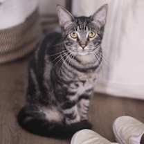 Thumbnail photo of Frank #4