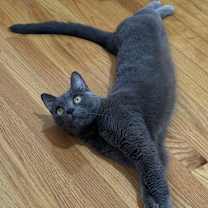 Thumbnail photo of Valencia #2