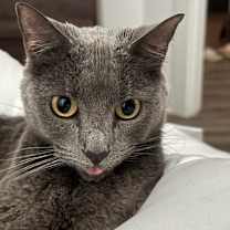 Thumbnail photo of Valencia #3