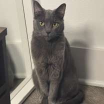 Thumbnail photo of Valencia #4