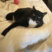 Thumbnail photo of Lucky #3