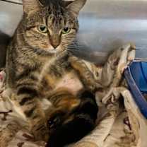 Thumbnail photo of Skipper #3