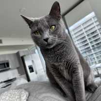 Thumbnail photo of Rain #2