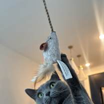 Thumbnail photo of Rain #3