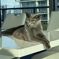 Thumbnail photo of Rain #4