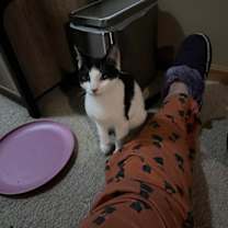 Thumbnail photo of Amos #1