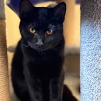 Thumbnail photo of Faith  #1