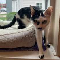 Thumbnail photo of Minnie #1