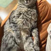 Thumbnail photo of Otis #4