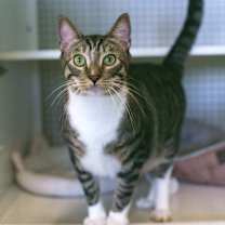 Thumbnail photo of Watson #1