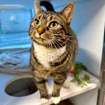 Thumbnail photo of Lilith #3