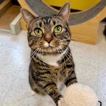 Thumbnail photo of Lilith #4