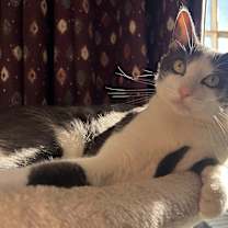 Thumbnail photo of Charlie #1