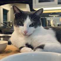 Thumbnail photo of Charlie #2