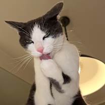 Thumbnail photo of Charlie #3