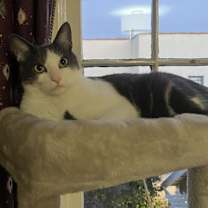 Thumbnail photo of Charlie #4