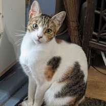 Thumbnail photo of emmie #2