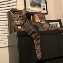 Thumbnail photo of Cleo #4