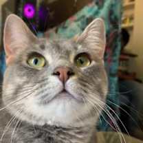 Thumbnail photo of Kyee #2