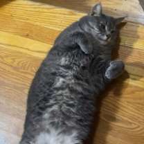 Thumbnail photo of Kyee #3