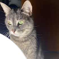 Thumbnail photo of Kyee #4