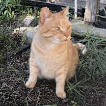 Thumbnail photo of Buster #4