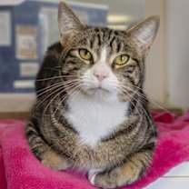 Thumbnail photo of Grill Master #1