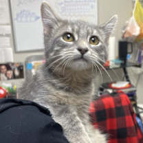 Thumbnail photo of Donna Lou #3