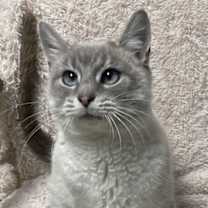 Thumbnail photo of Fiona #3