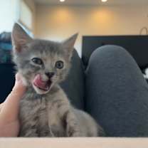 Thumbnail photo of R2D2 #2